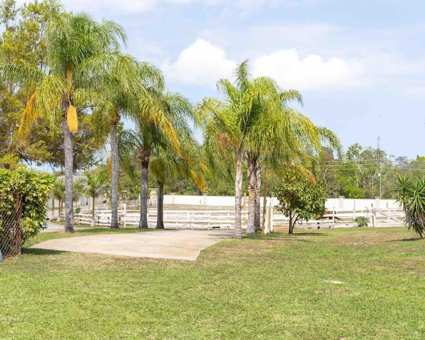 Apartament Tampa Bay Oasis Tarpon Springs Zewnętrze zdjęcie