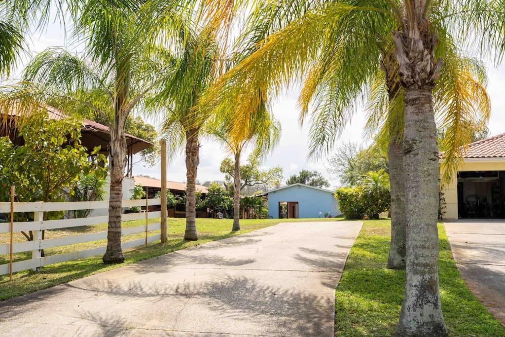 Apartament Tampa Bay Oasis Tarpon Springs Zewnętrze zdjęcie