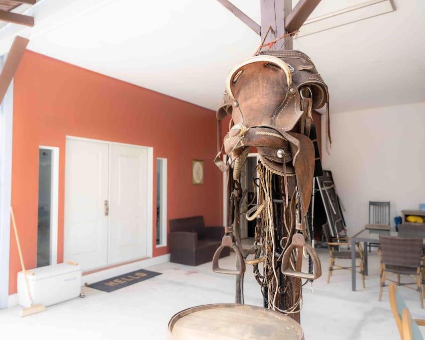 Apartament Tampa Bay Oasis Tarpon Springs Zewnętrze zdjęcie