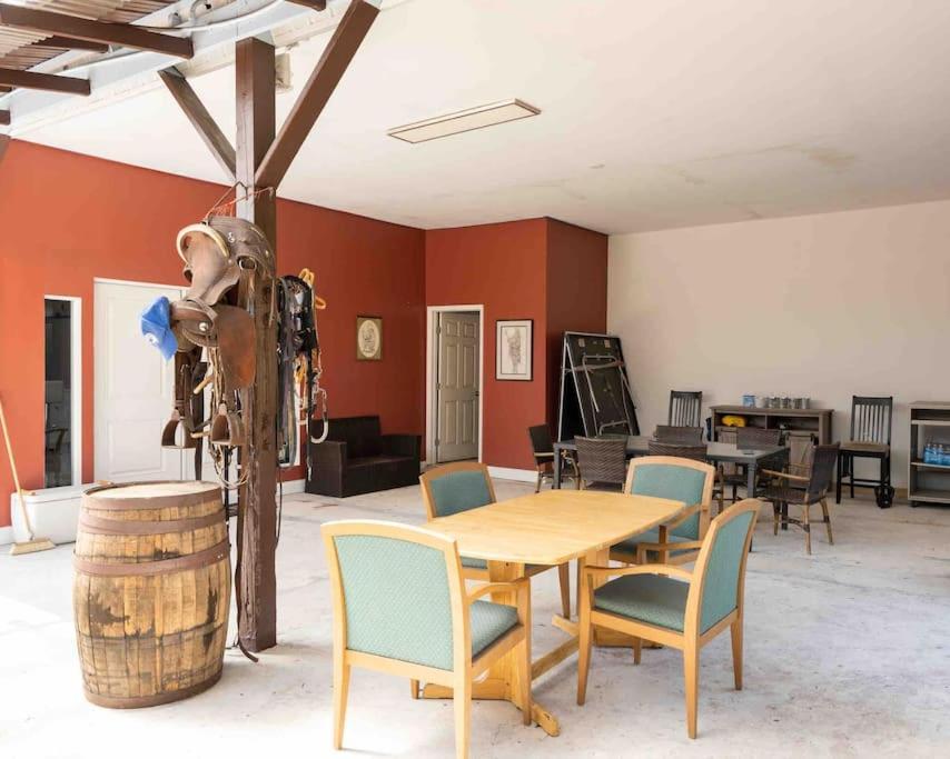 Apartament Tampa Bay Oasis Tarpon Springs Zewnętrze zdjęcie