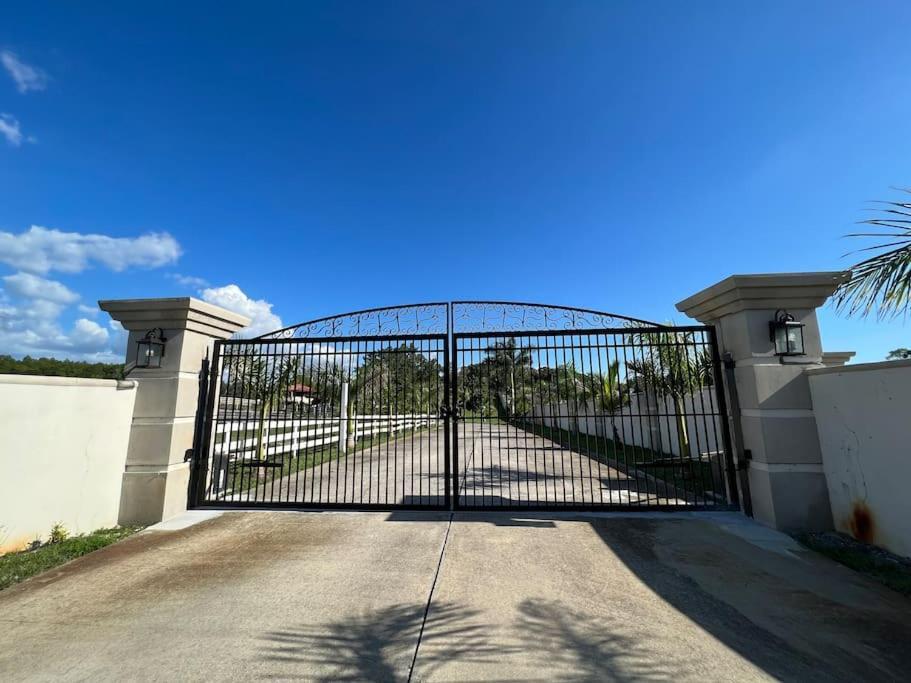 Apartament Tampa Bay Oasis Tarpon Springs Zewnętrze zdjęcie