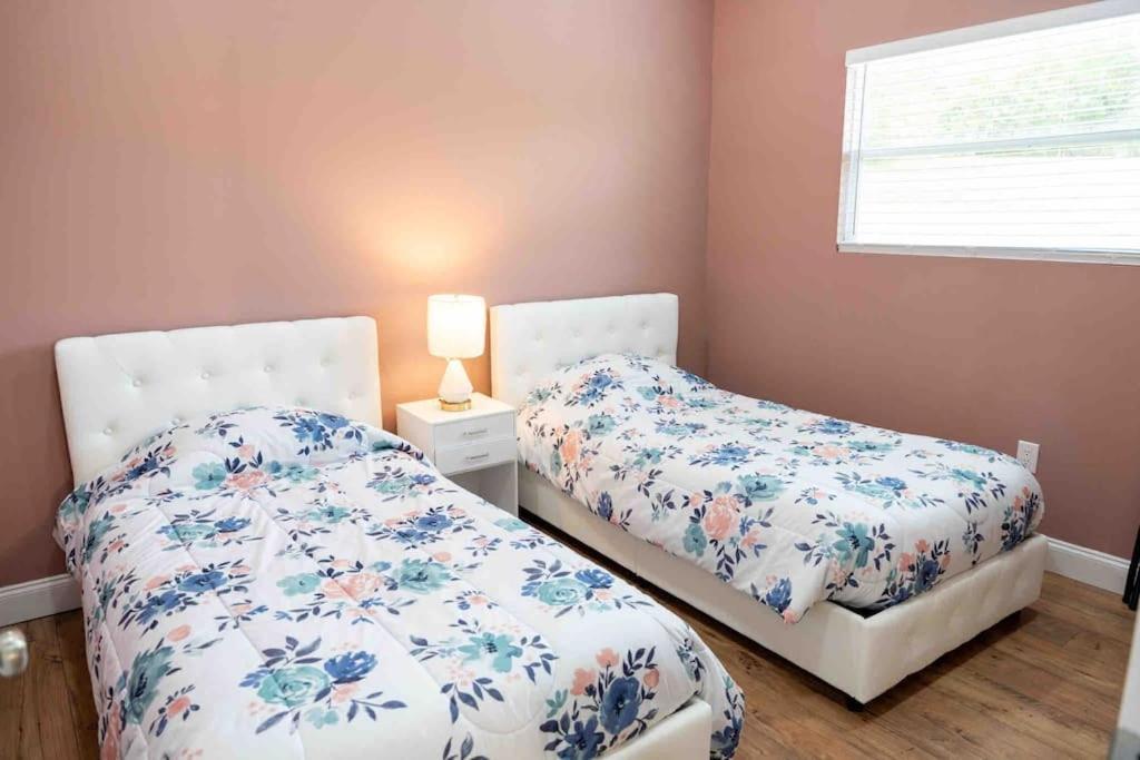Apartament Tampa Bay Oasis Tarpon Springs Zewnętrze zdjęcie