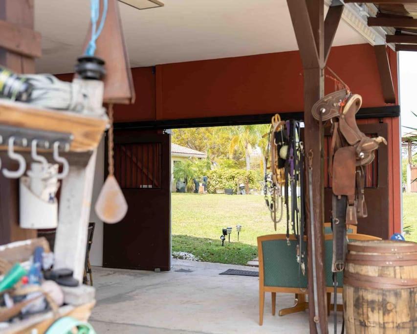 Apartament Tampa Bay Oasis Tarpon Springs Zewnętrze zdjęcie