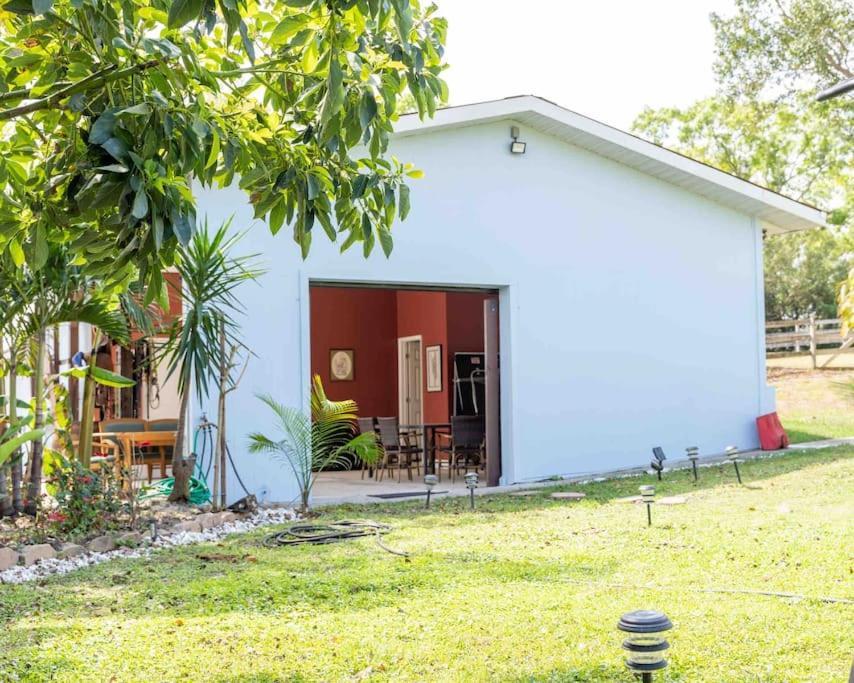 Apartament Tampa Bay Oasis Tarpon Springs Zewnętrze zdjęcie