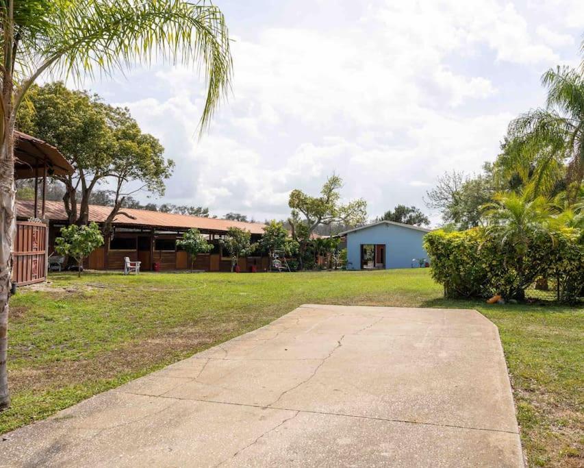 Apartament Tampa Bay Oasis Tarpon Springs Zewnętrze zdjęcie